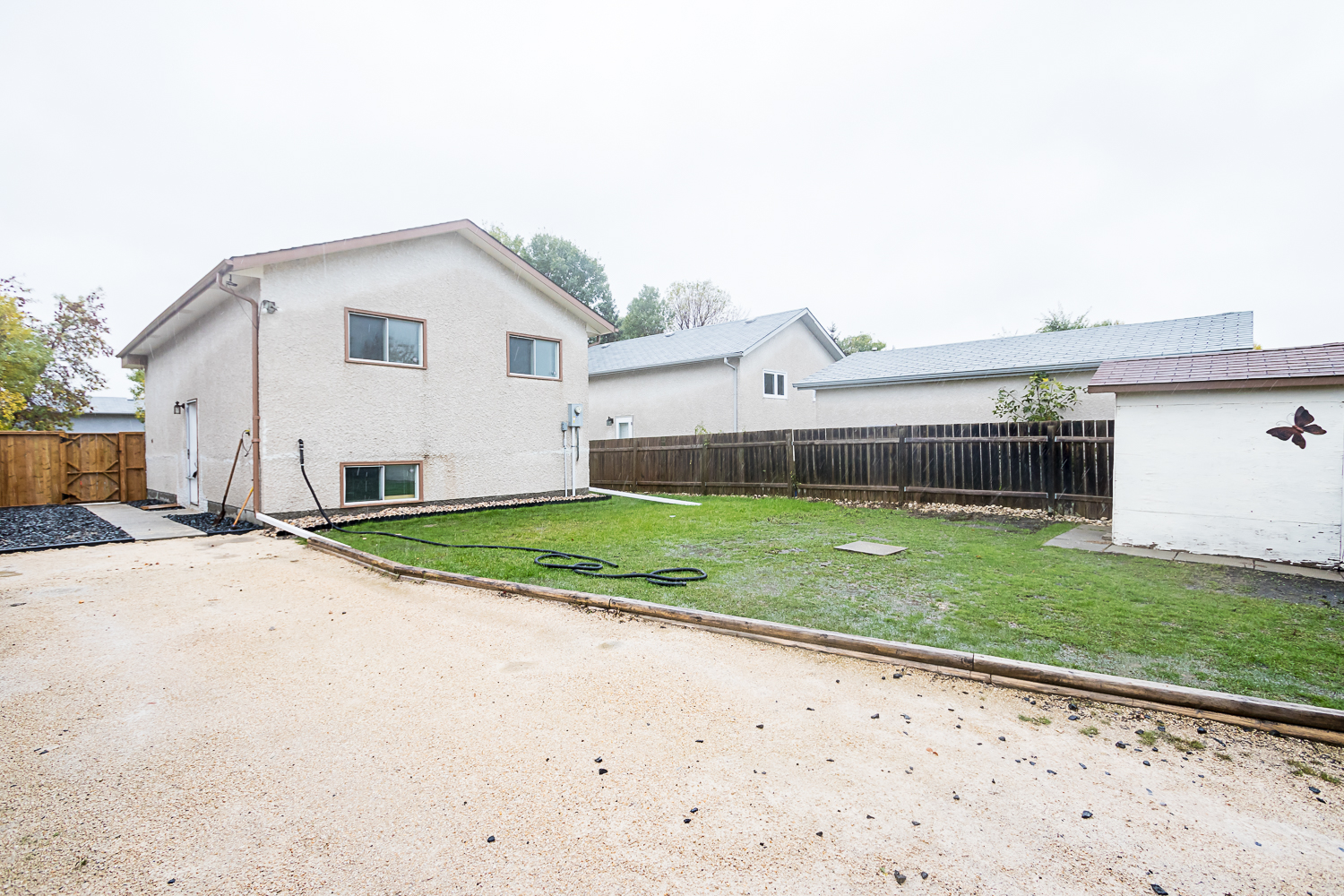 243 Rougeau Avenue - Backyard