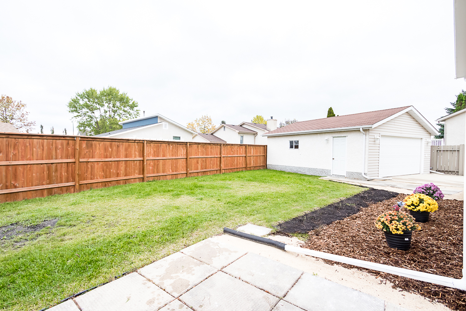 49 Binscarth Street - Backyard