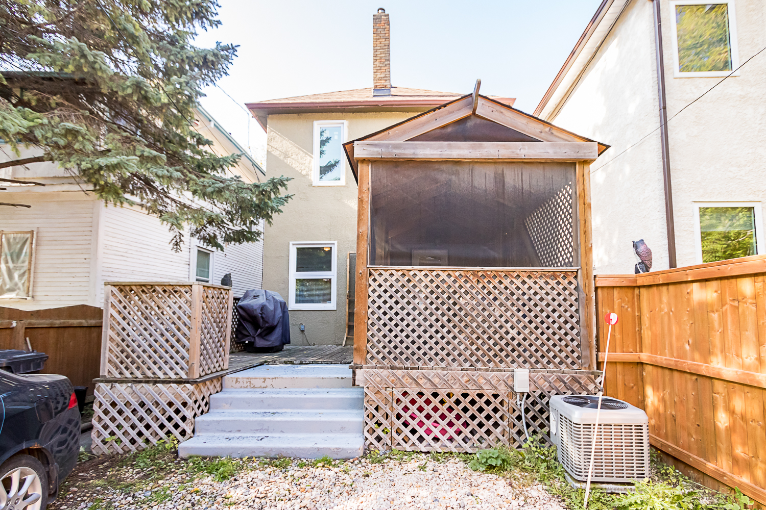 503 Newman Street - Backyard