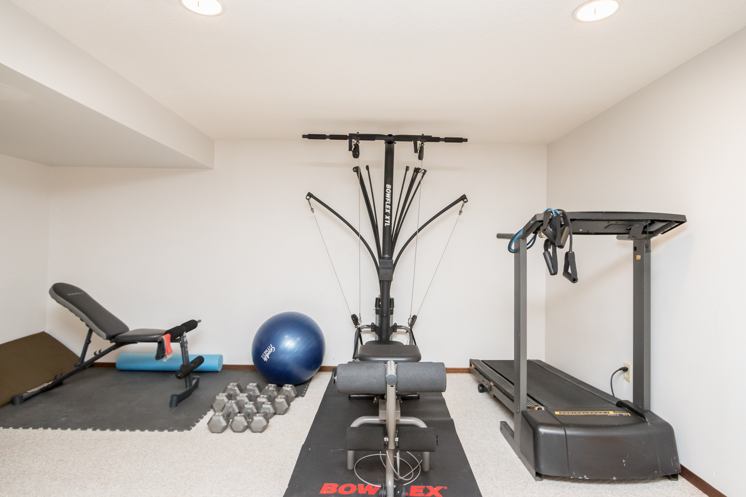 181 Allenby Crescent - Gym
