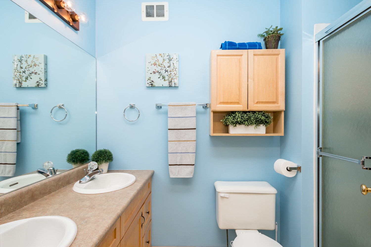 31 Wasney Street - Washroom